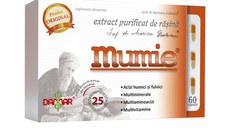 Extract purificat de rasina Mumie, 60 capsule, Damar