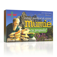 Extract purificat de rasina Mumie cu Propolis, 60 tablete, Damar - 1