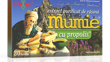 Extract purificat de rasina Mumie cu Propolis, 60 tablete, Damar