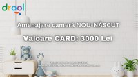 Card cadou "Amenajare camera NOU-NASCUT" Drool - 1