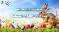 Card cadou "Iepurașul de Paște" Drool - 1