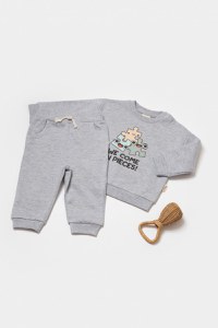 Set hanorac si pantaloni, Two thread, 100%bumbac organic - Gri, BabyCosy - 1