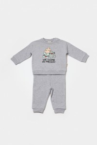 Set hanorac si pantaloni, Two thread, 100%bumbac organic - Gri, BabyCosy - 2