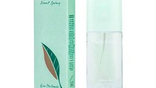 Apa de Parfum pentru Femei - Elizabeth Arden Green Tea Scent Spray EDP Woman, 30 ml