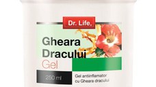 Balsam Antiinflamator Gheara Dracului Dr. Life, 250ml