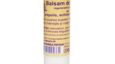 Balsam de Buze cu Propolis Virginia Favisan, 5ml