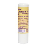 Balsam de Buze cu Propolis Virginia Favisan, 5ml - 1