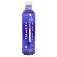 Gel Profesional pentru Par cu Aspect Umed - HairConcept Finalize Natural Shiner Wet Gel, 250 ml - 1