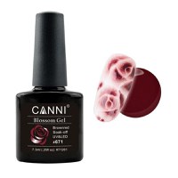 Oja Semipermanenta Soak Off Blossom Canni 671, 7.3 ml - 1