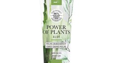 Peeling facial cu granulatie grosiera Lirene Power of Plants, 75ml