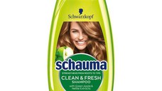 Sampon cu Mar Verde si Urzica pentru Par Normal - Schwarzkopf Schauma Clean & Fresh Shampoo with Green Apple & Nettle Extract for Normal Hair, 400 ml