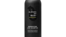 Sampon Energizant Anti-Cadere - Alfaparf Milano Blends of Many Energizing Low Shampoo, 250ml