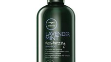 Sampon pentru hidratare Paul Mitchell Lavender Mint 300 ml