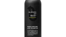 Sampon Reechilibrant Antimatreata si pentru Controlul Sebumului - Alfaparf Milano Blends of Many Rebalancing Low Shampoo, 250ml