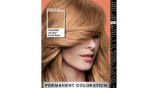 SHORT LIFE - Vopsea de Par Permanenta Inspirata de Pantone - Syoss Professional Performance Permanent Coloration Inspired by Pantone 16-1337, nuanta 9_67 Coral Gold