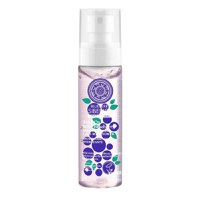 Toner Hidratant Antioxidant cu Extract de Afine si Acid Hialuronic Anti-OX Wild Blueberry, 100 ml - 1