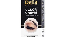 Vopsea pentru Sprancene cu Ulei de Argan Delia Cosmetics, nuanta 1.0 Negru, 15ml