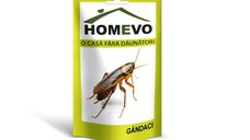 Insecticid Favol gel 5g anti gandaci de bucatarie Homevo