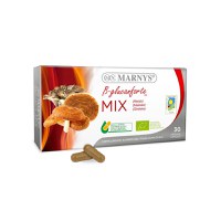 Mix de Ciuperci β-Glucanforte Reishi + Maitake + Shiitake 30 cps - 1