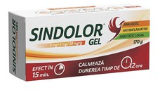 Sindolor gel 170 g Fiterman Pharma