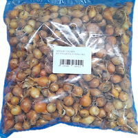 Arpagic galben Stuttgarter 1 kg - 1