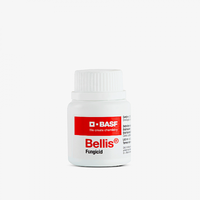 Bellis 20 gr fungicid sistemic (mar,par) BASF - 1