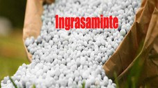 Ingrasamant complex NPK 0-12-23 + 4%Mg sac 50 kg