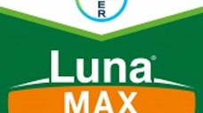 Luna Max 275SE 10 ml fungicid sistemic si de contact, Bayer, fainare (vita de vie)