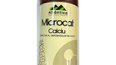 Microcat Calciu 1L ingrasamant foliar pentru carente de Calciu, Atlantica Agricola, contine Calciu, Azot, aminoacizi, acizi organici (grau, porumb, rapita, floarea soarelui, cartof, soia, mazare, pomi fructiferi, gazon, vita de vie)