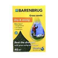 Seminte gazon Water Saver 1 kg, Barenbrug - 1