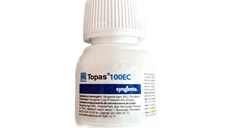 Topas 100EC 30 ml, fungicid sistemic local, Syngenta, fainare (vita de vie, arbusti fructiferi, ardei, capsun, castraveti, dovleac, mar, pepene, tomate, trandafiri)