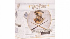 Batalia de la Hogwarts: Aparare Contra Magiei Negre (RO)