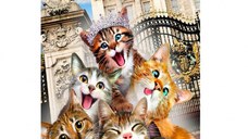 Puzzle din lemn - Kittens in London - 150 piese