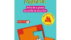 Puzzle Logic Magnetic (RO)