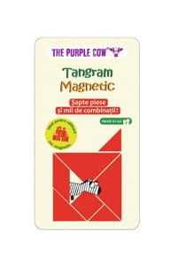 Tangram Magnetic (RO) - 1