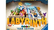 Team Edition Labyrinth (RO)