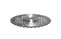 Disc motocositoare Campion Nr. 10 (255mm) CMP 0208 - 1