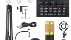 Set Microfon Profesional MIC8