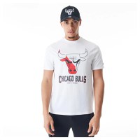 Chicago Bulls NBA Graphic Tee - 1