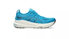 Gel-Kayano 31