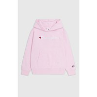 Icons Hooded Sweatshirt - 1