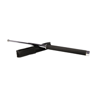 Baston telescopic 65 cm argintiu - 1