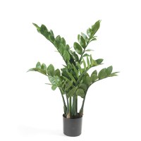 Emerald Planta Zamioculcas artificiala, 70 cm - 1