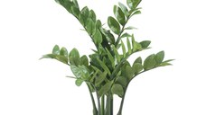 Emerald Planta Zamioculcas artificiala, 70 cm