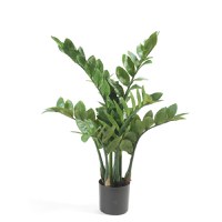 Emerald Planta Zamioculcas artificiala, 70 cm - 2