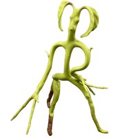 Figurina Animale Fantastice articulata IdeallStore®, Bowtruckle Friend, editie colectie, 18 cm - 2