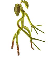 Figurina Animale Fantastice articulata IdeallStore®, Bowtruckle Friend, editie colectie, 18 cm - 3