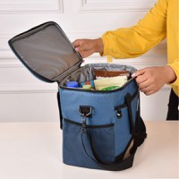 Geanta termoizolanta pentru picnic sau plaja, capacitate 16l, culoare albastra - 4