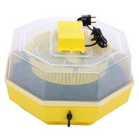 Incubator electric pentru oua cu dispozitiv intoarcere, Cleo, model 5D - 1