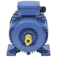 Motor electric trifazic aluminiu - 4